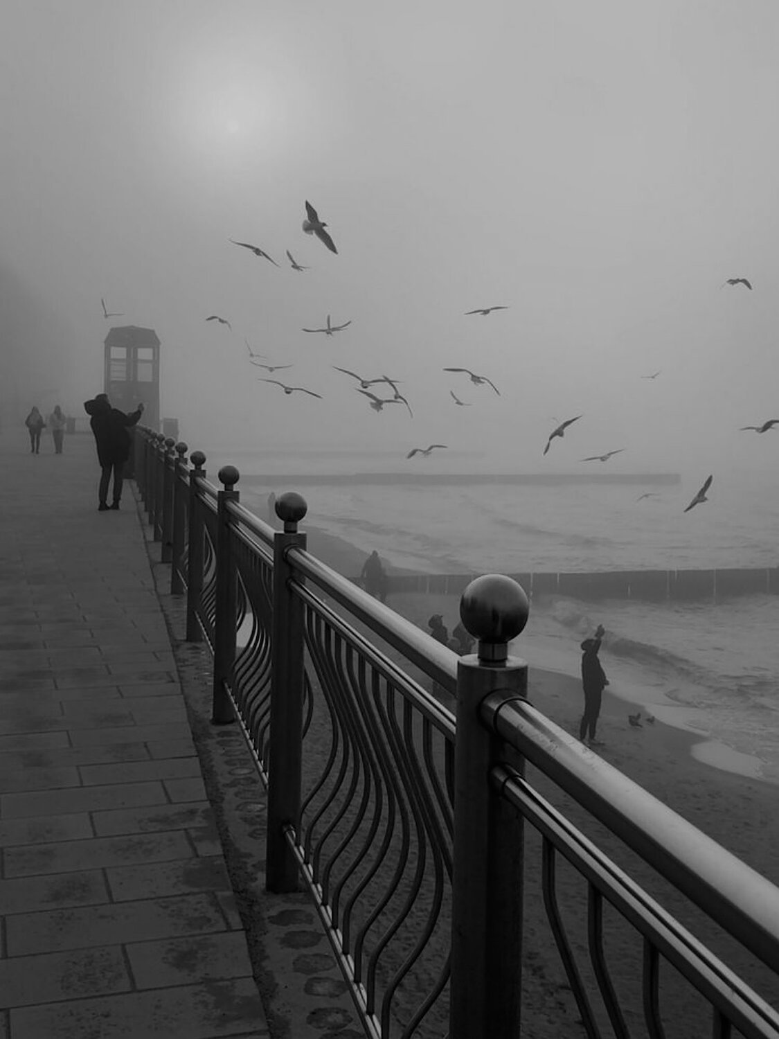 Photo #14090613