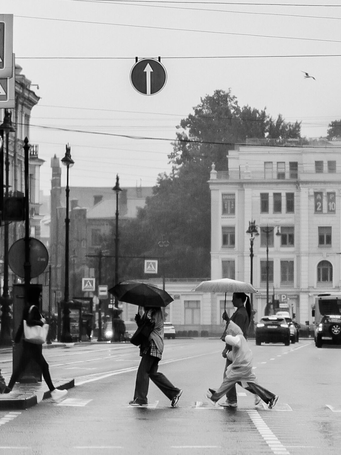 Photo #14090718