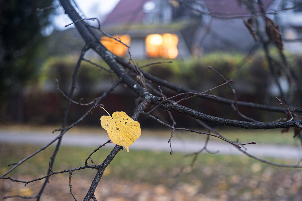 Photograph by Александр Творогов