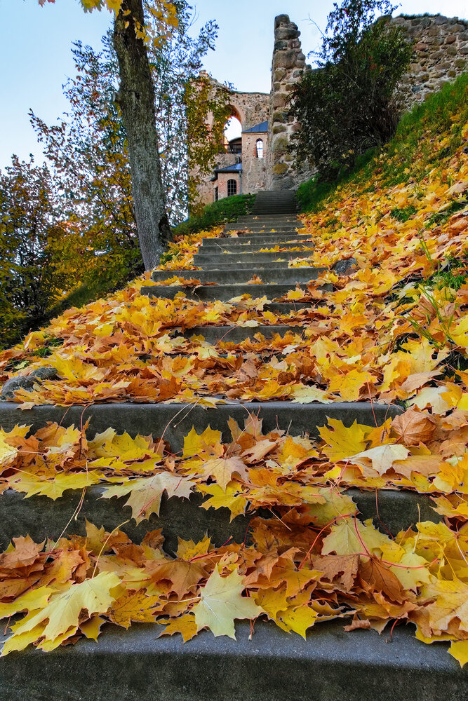 Photograph by Александр Творогов
