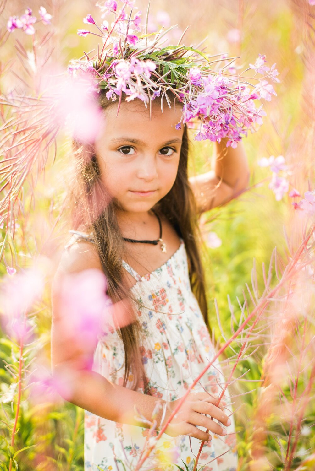 Photo #14090796