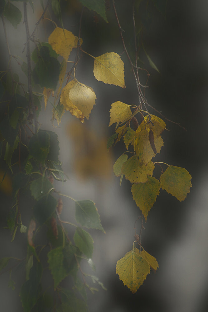 Photograph by Сергей Рябов