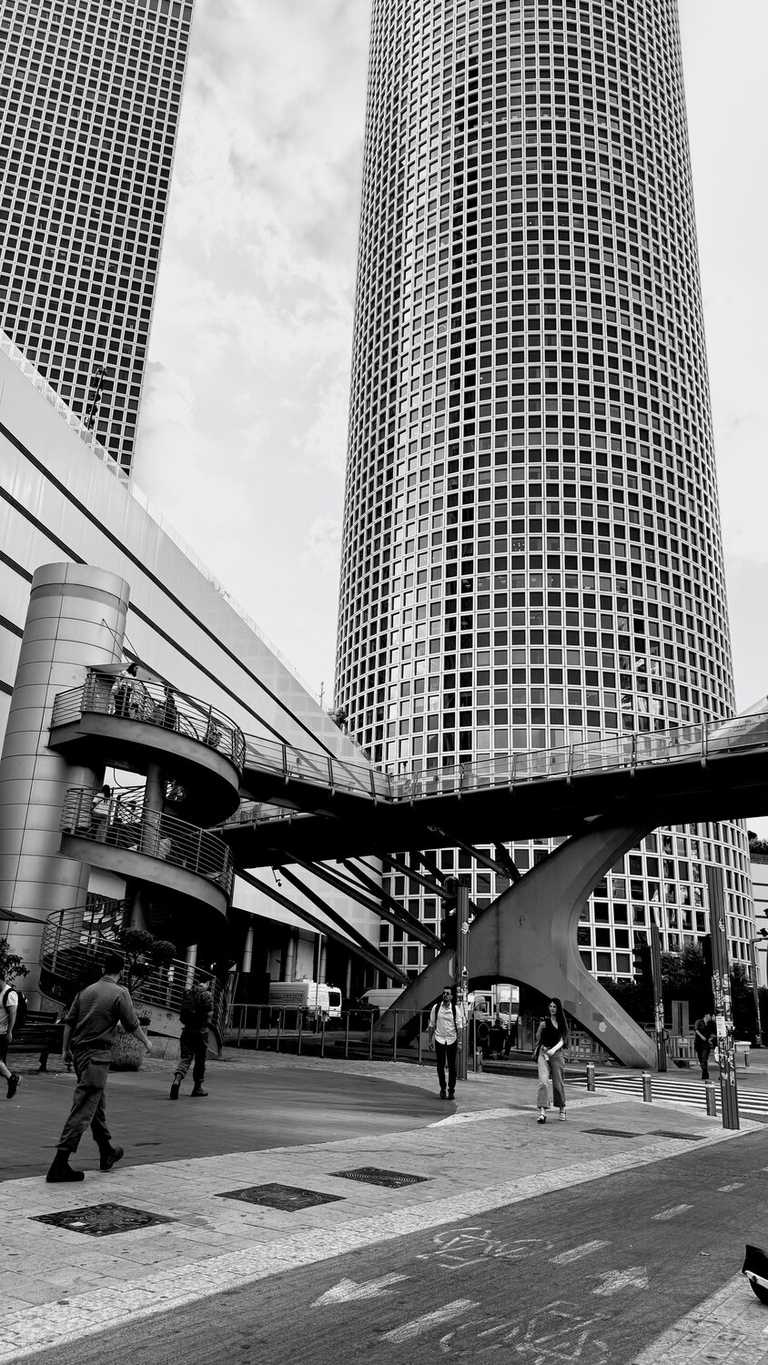 Photo #14090891