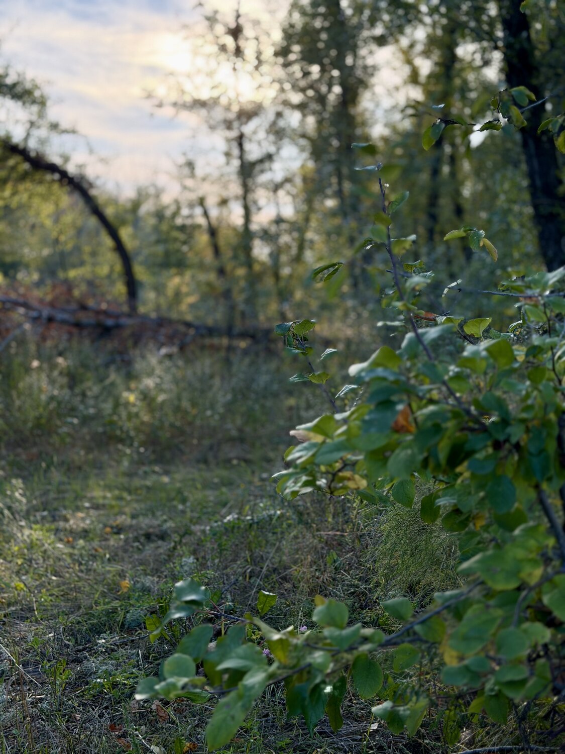 Photo #14090965