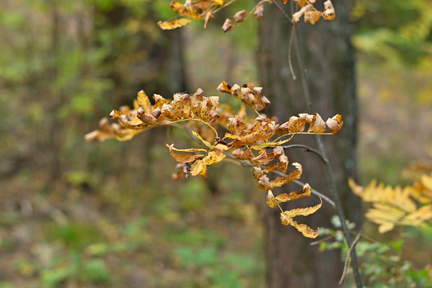 Photo #14090977
