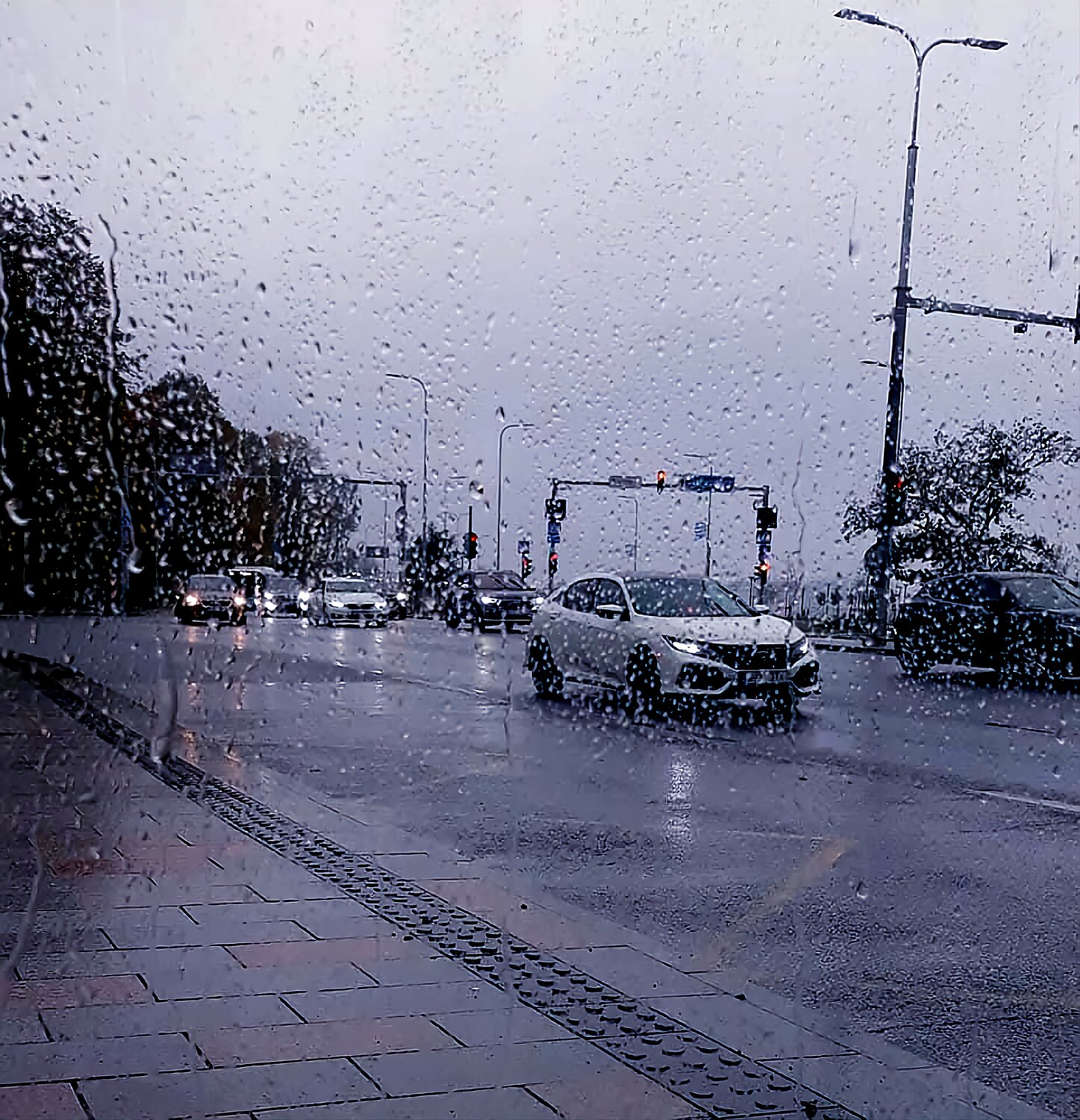 Photo #14091008