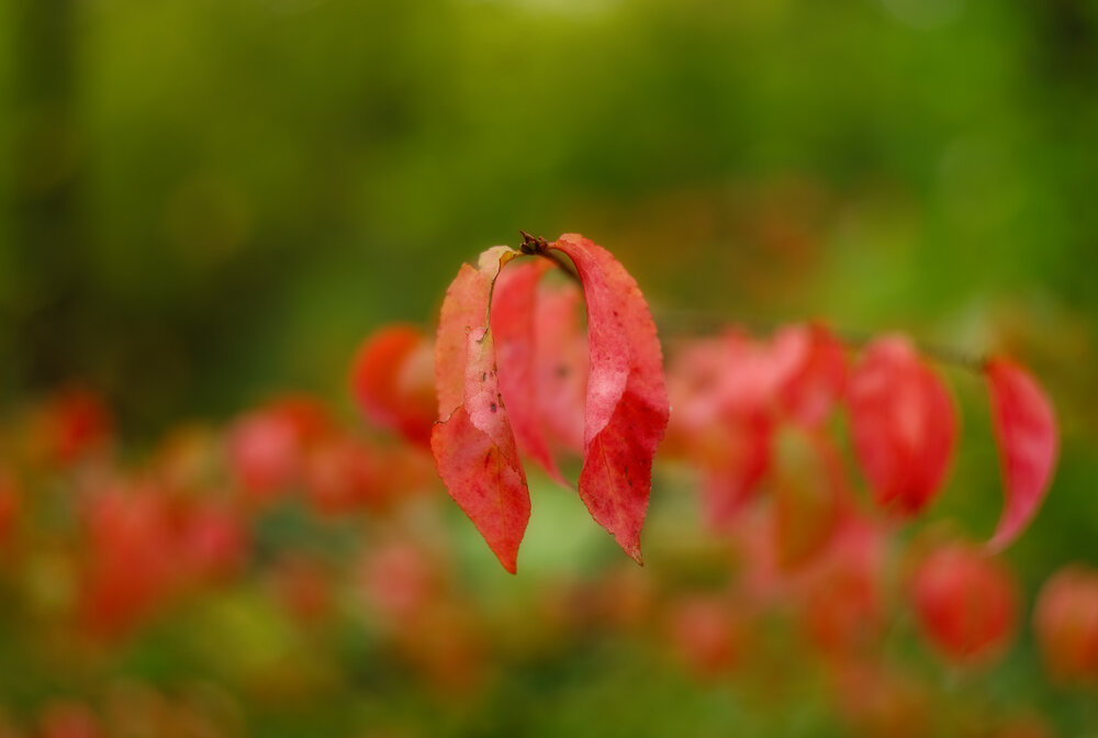 Photograph by Юганова Татьяна