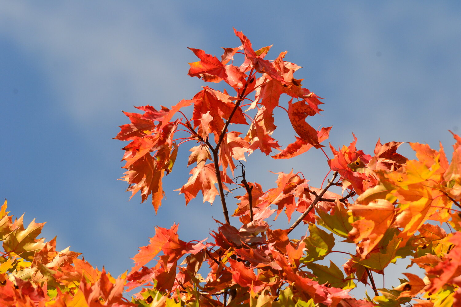 Photo #14091016