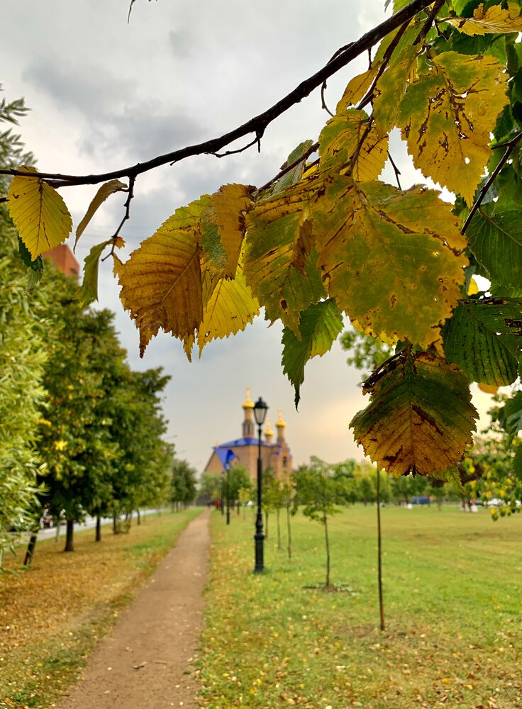 Photograph by Igor Shchepkin
