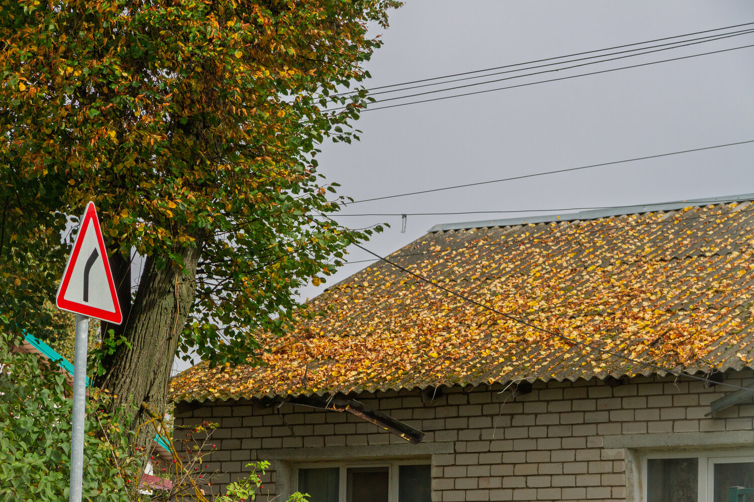 Photo #14091122