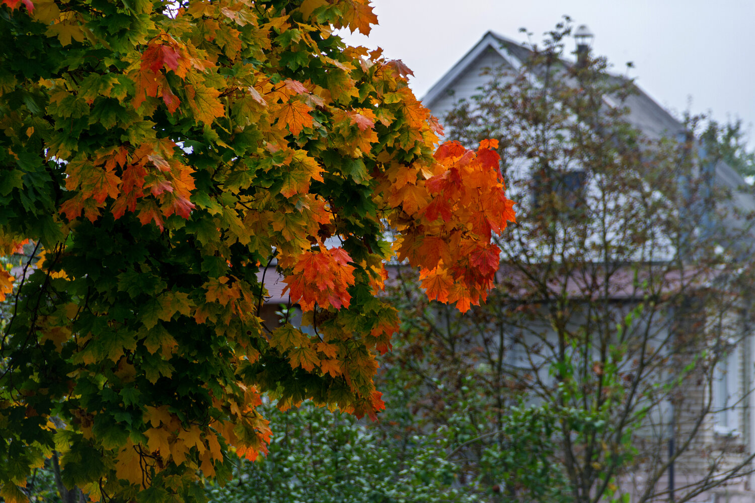 Photo #14091129