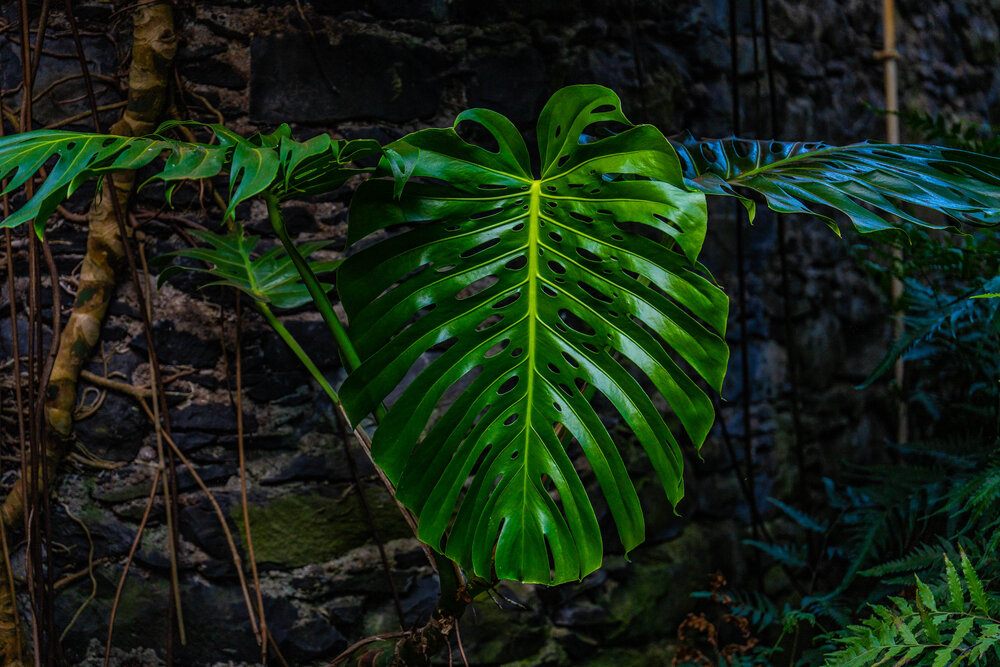 Photograph by Igor Shulkin