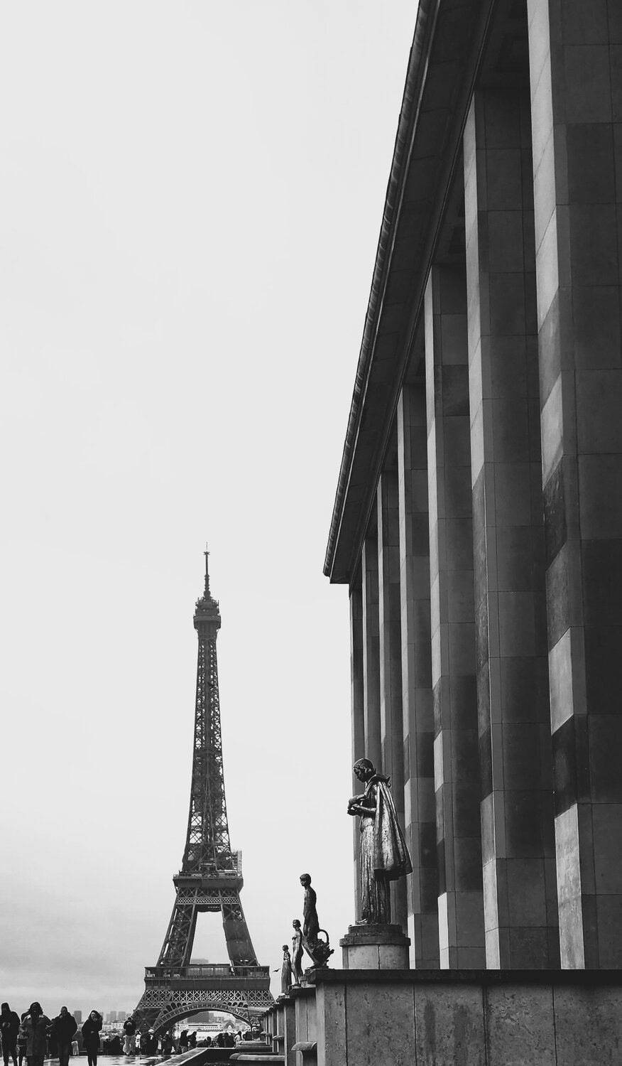 Photo #14091246