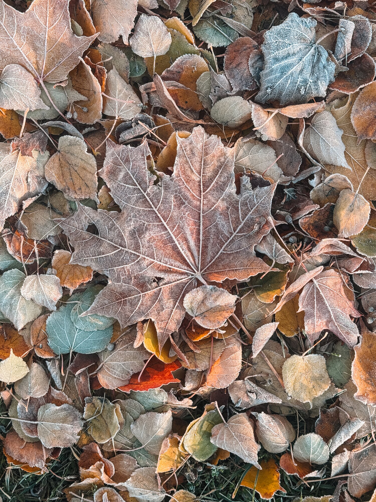 Photograph by Ирина Сафонова
