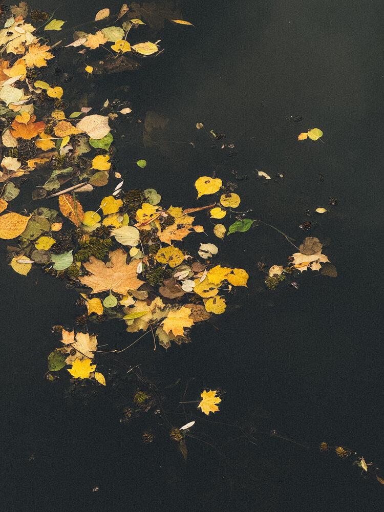 Photograph by Ирина Сафонова