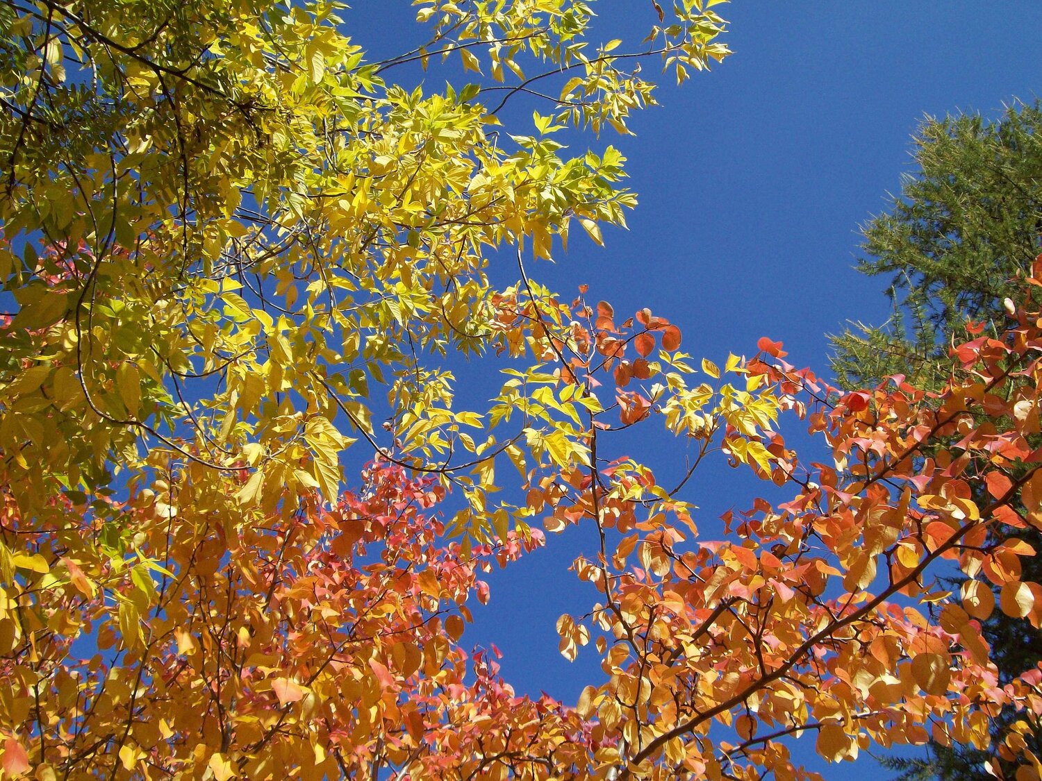 Photo #14091262