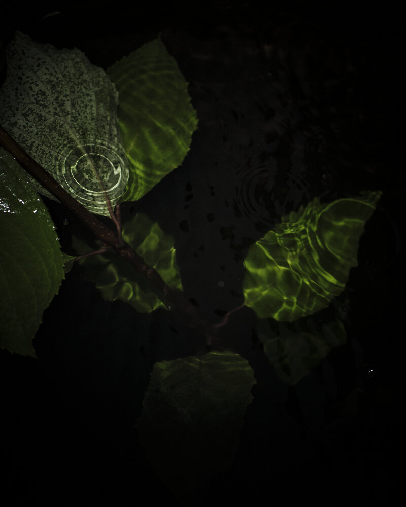 Photograph by Даниил Богомолов