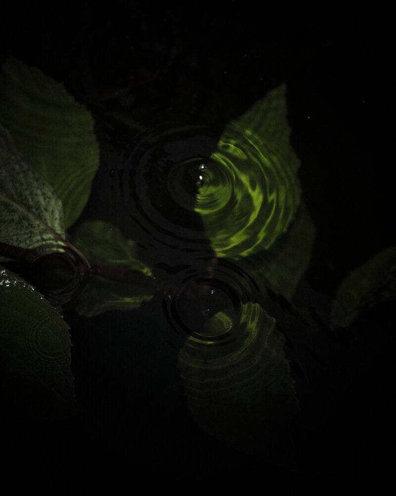 Photograph by Даниил Богомолов