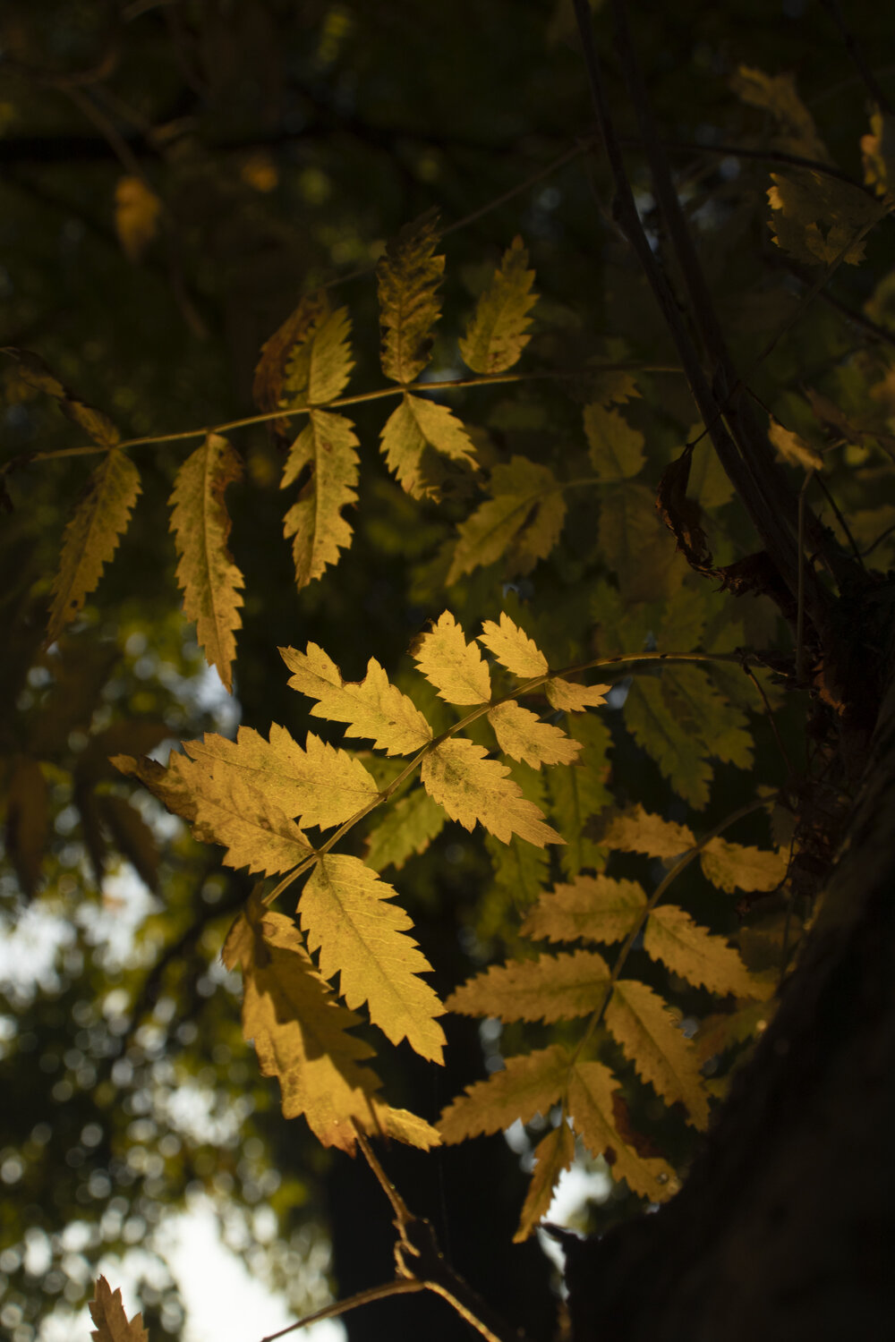 Photo #14091403