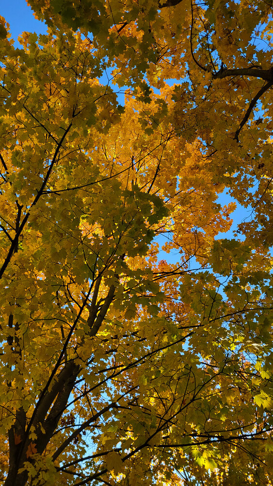 Photo #14091458