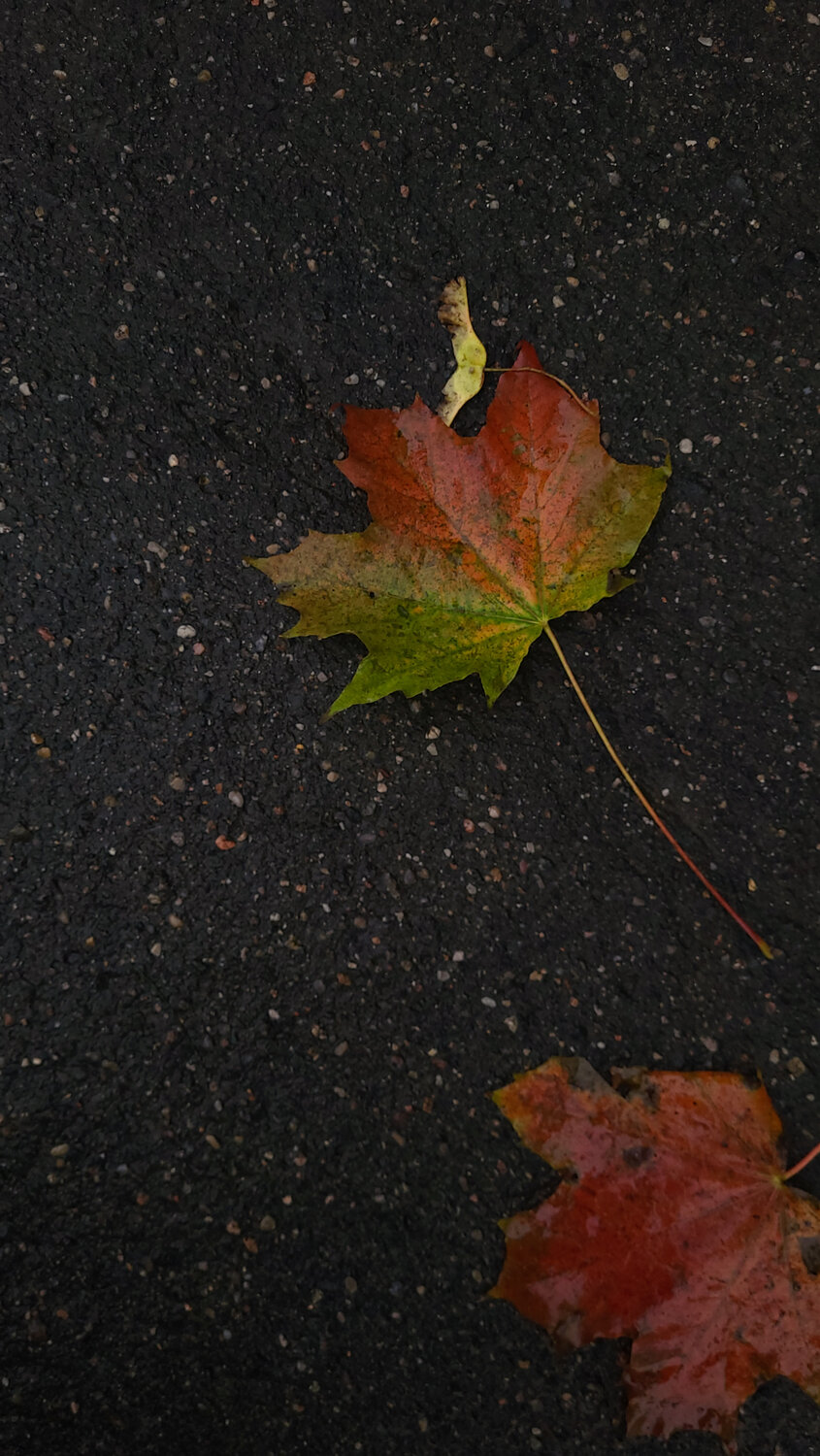 Photo #14091462