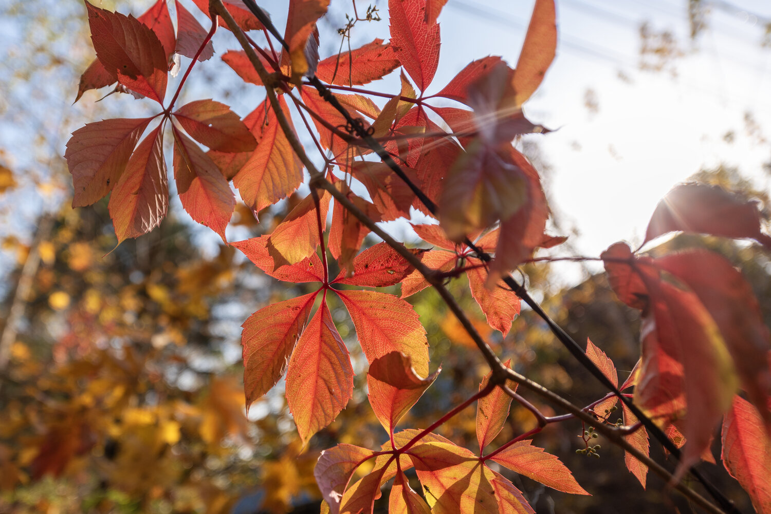 Photo #14091473