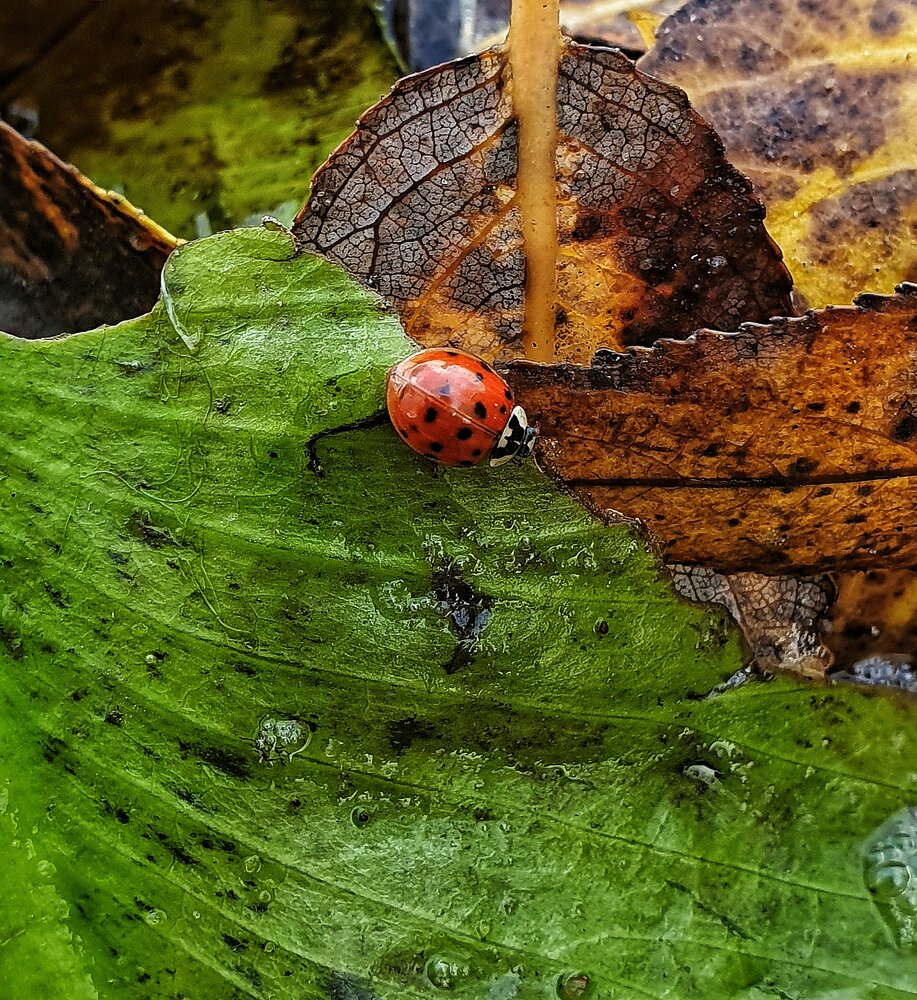Photograph by артём мякинник