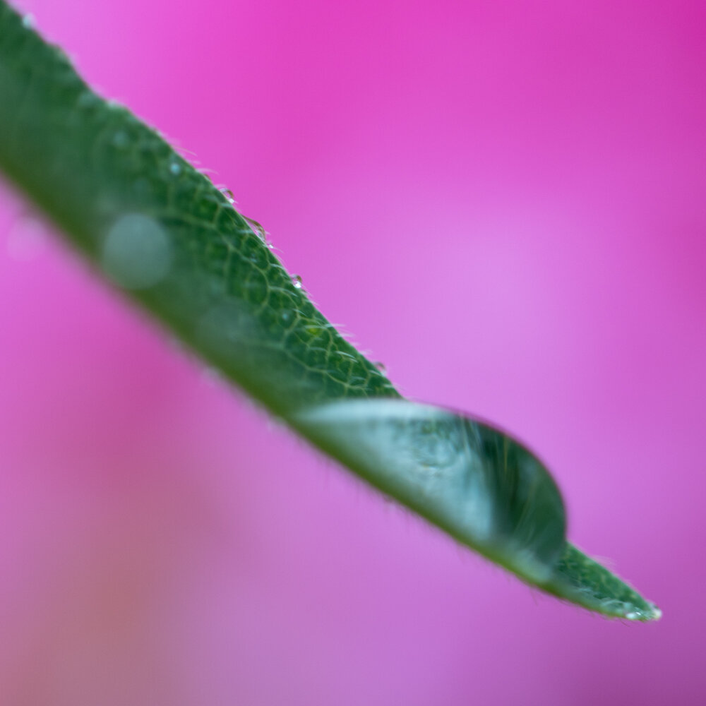 Photograph by Максим Фролов