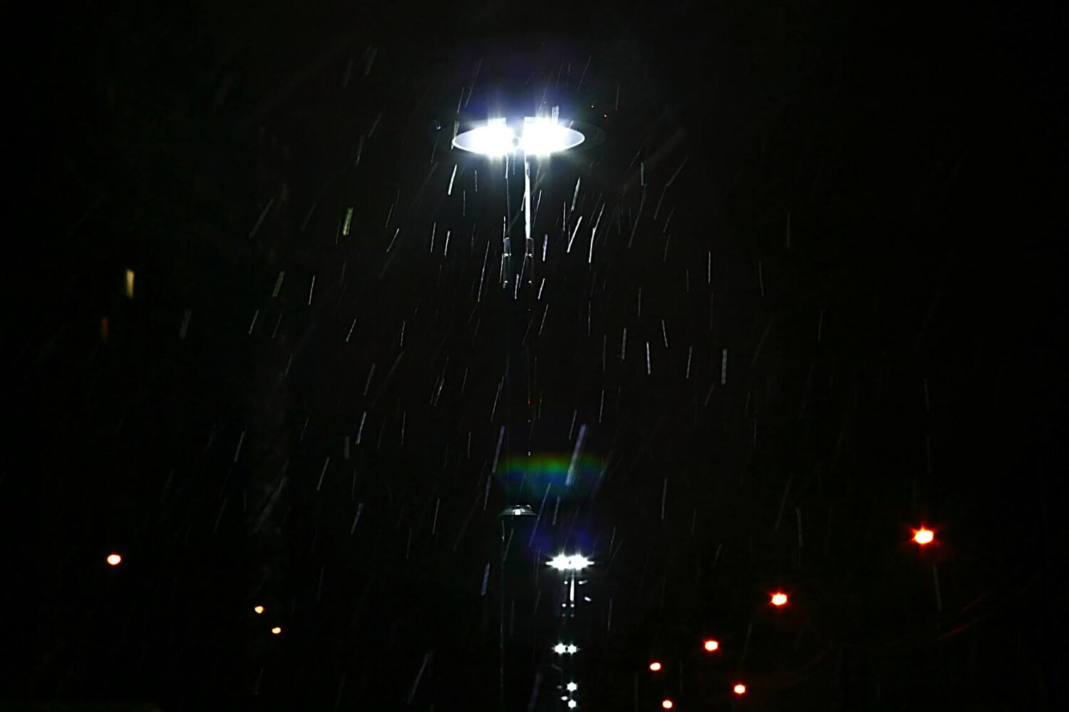 Photo #14091696