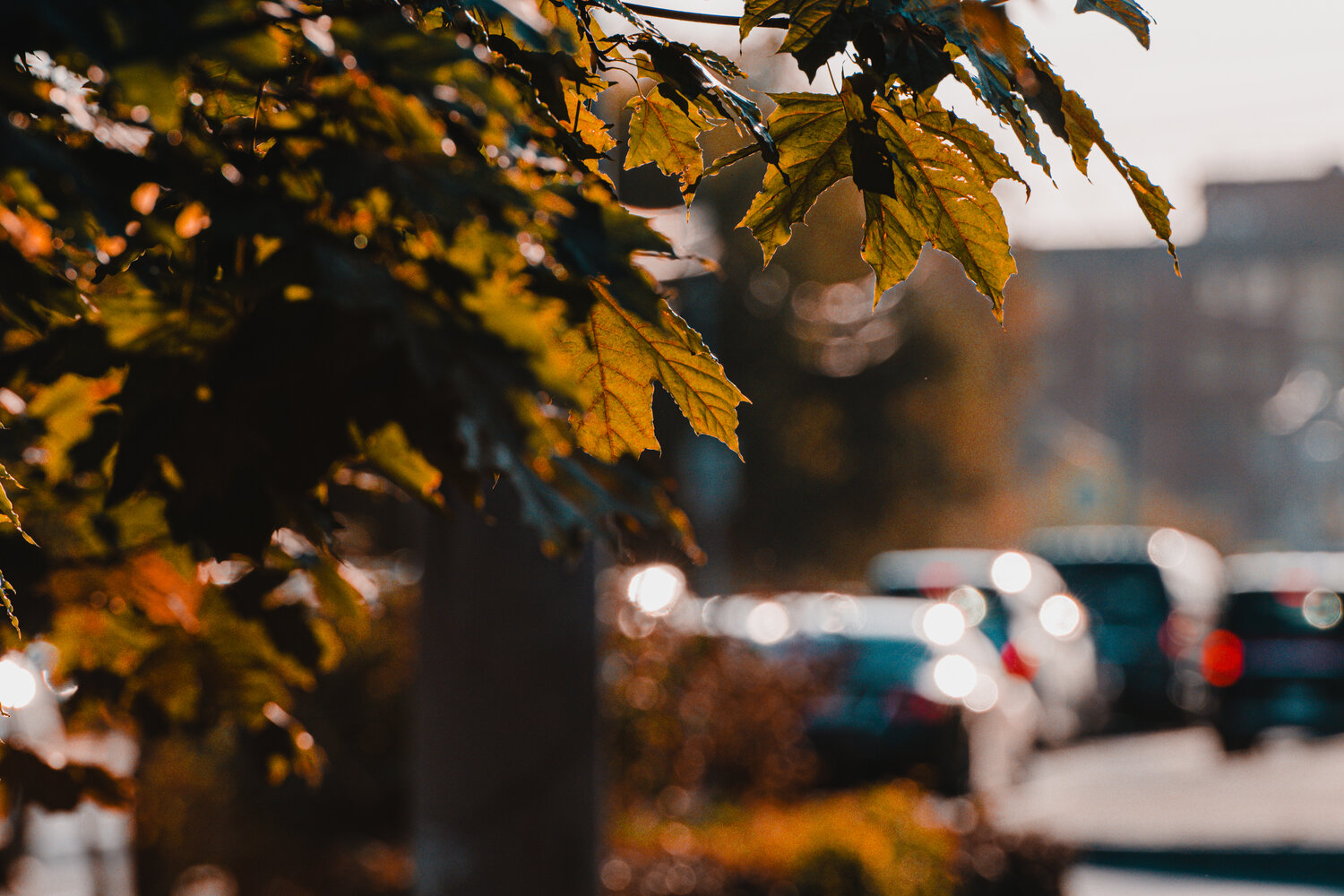 Photo #14091697