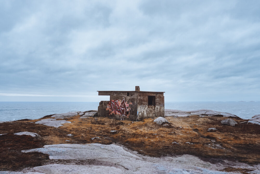 Photograph by Brian Robinson