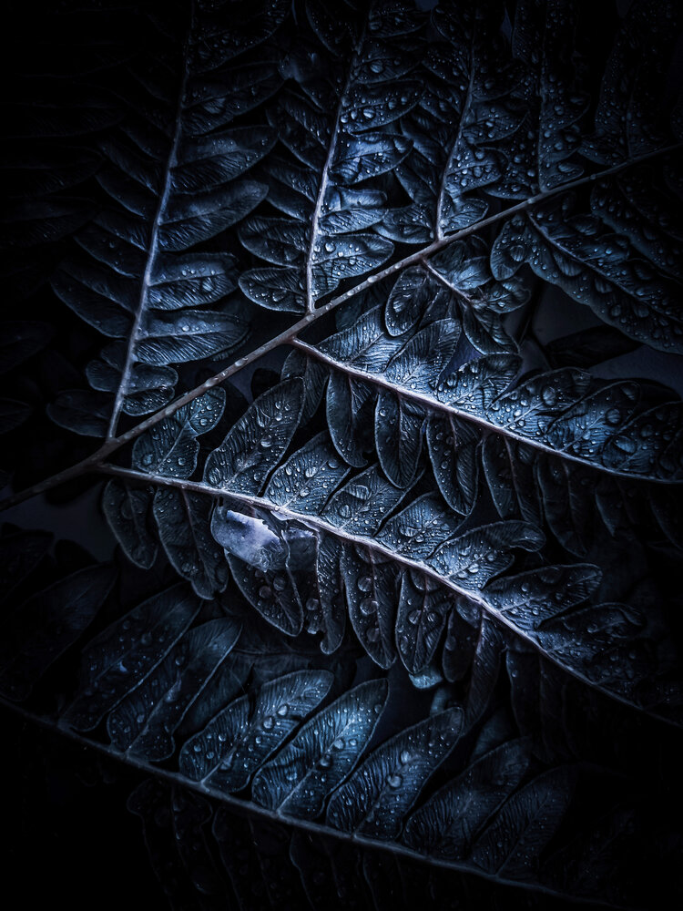 Photograph by Lapshina Vladlena