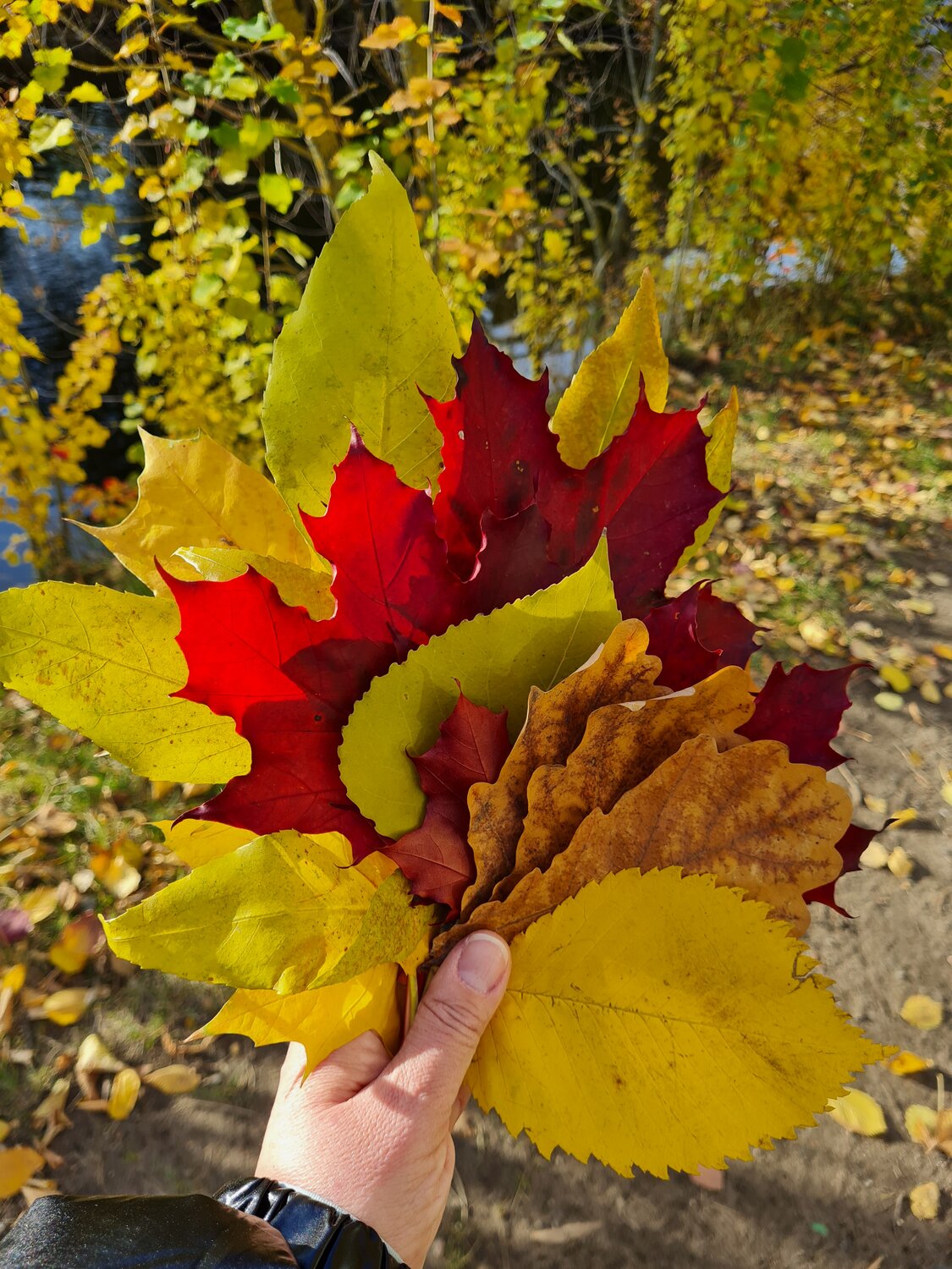 Photo #14091837
