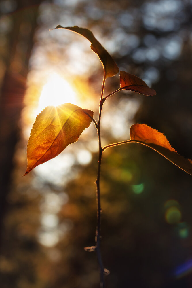 Photograph by Владимир Зубков