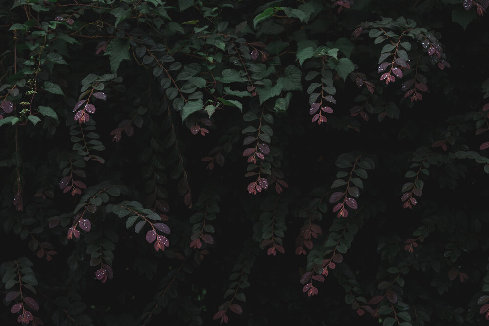 Photograph by Suzuki Ryuta