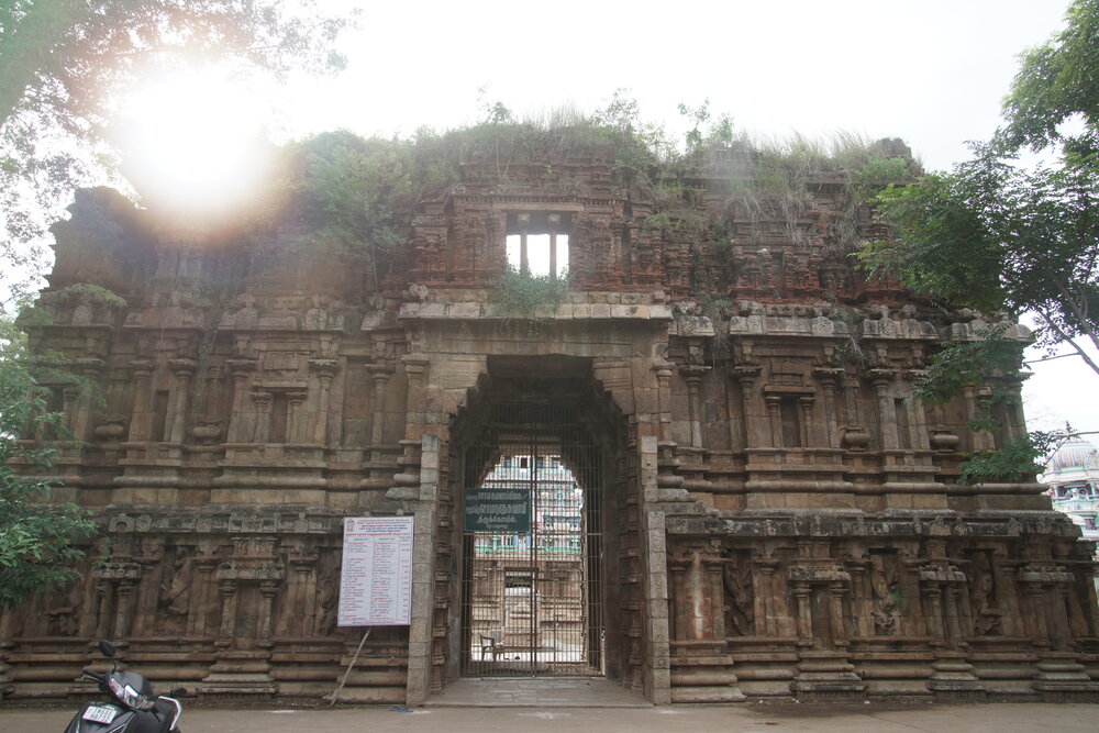 Photograph by Aswin Vijay