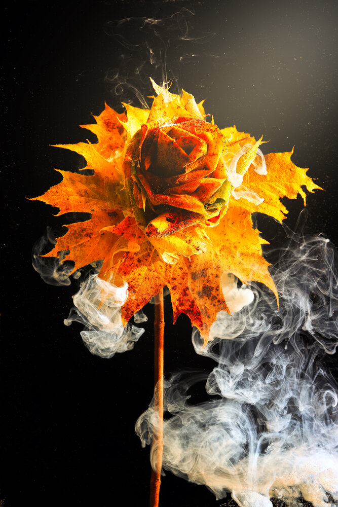 Photograph by Ivanova Inga