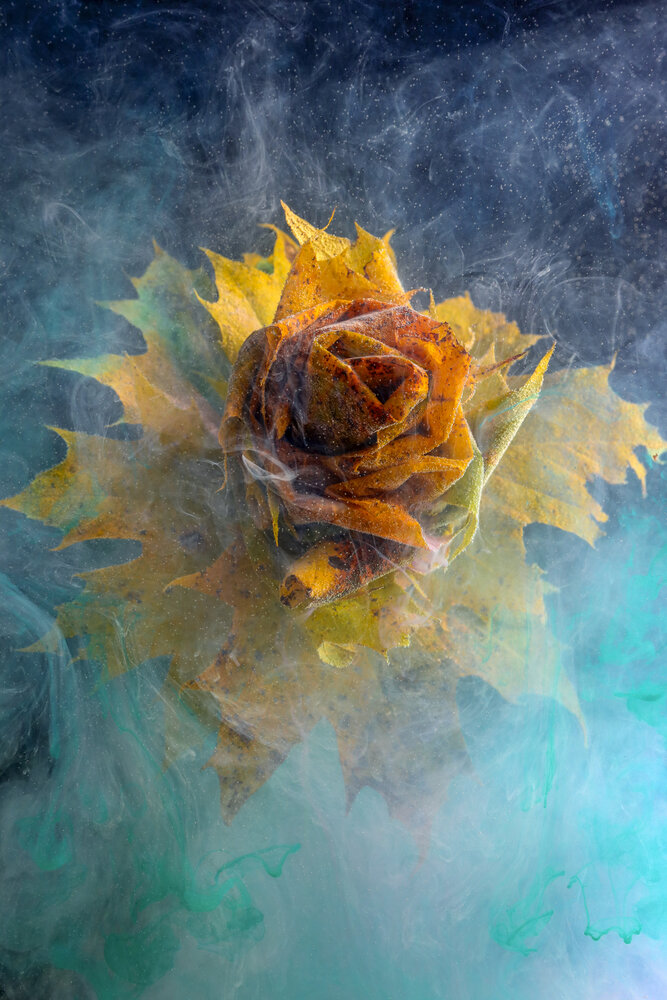 Photograph by Ivanova Inga