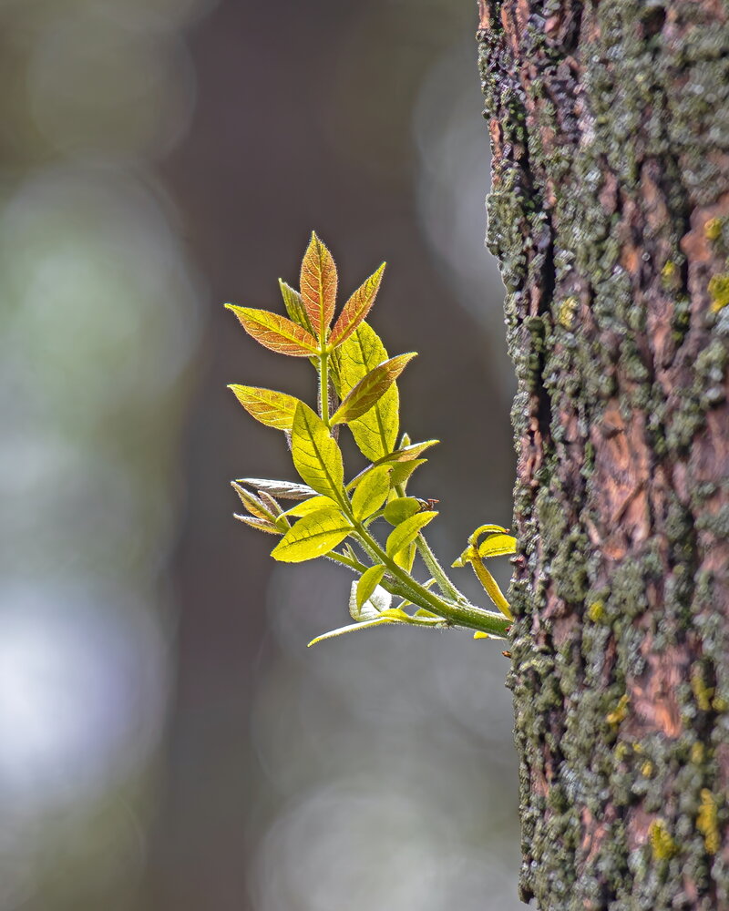 Photograph by Геннадий