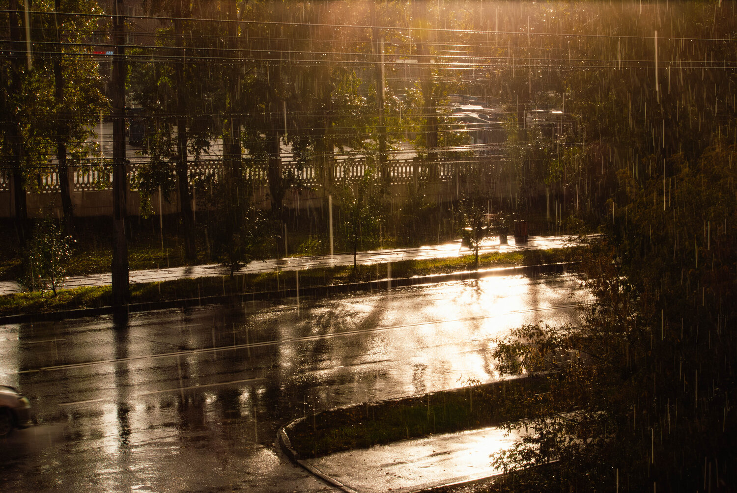 Photo #14092238