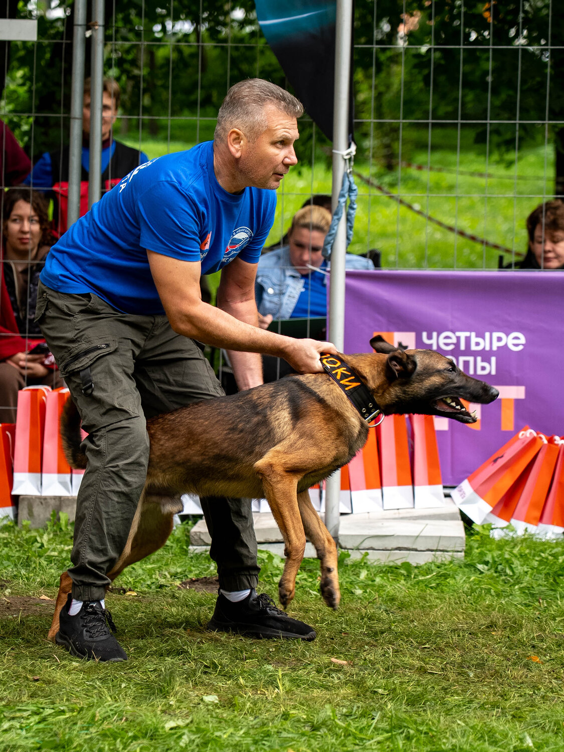Photo #14092340