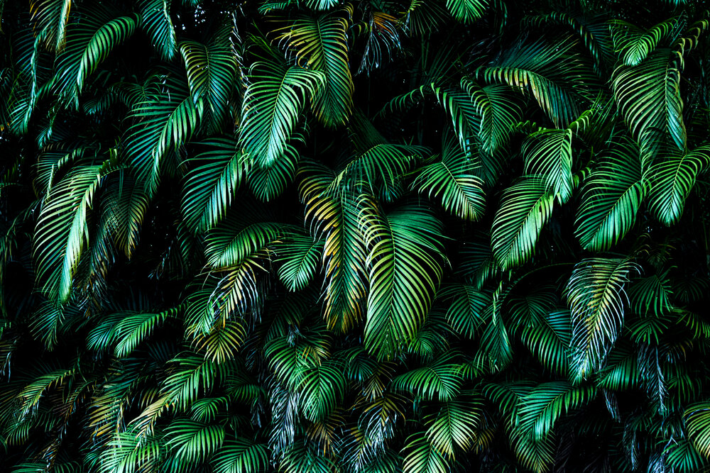 Photograph by Germán Garibay
