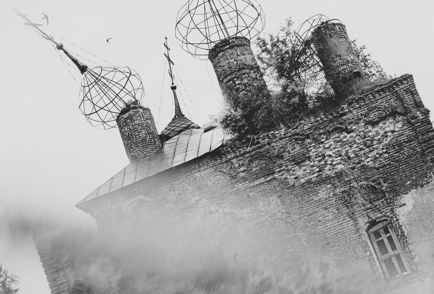 Photo #14092389