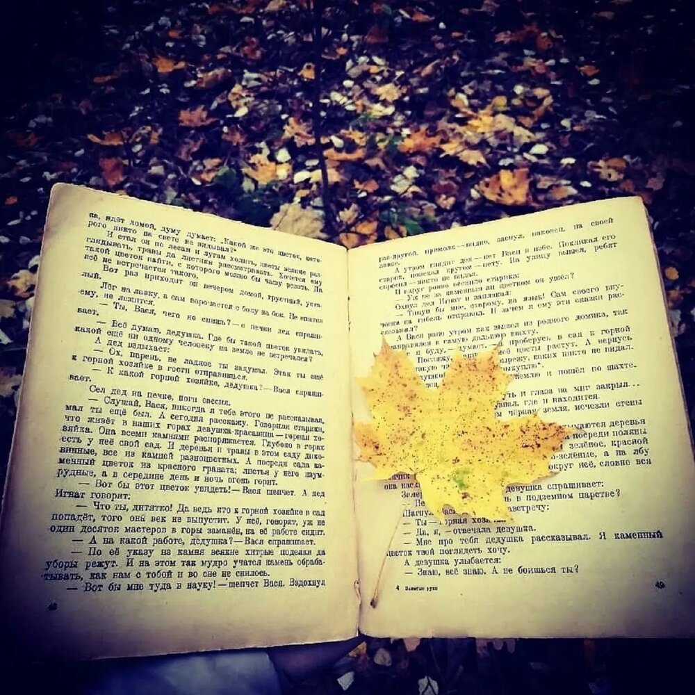 Photograph by Ольга Пришедько