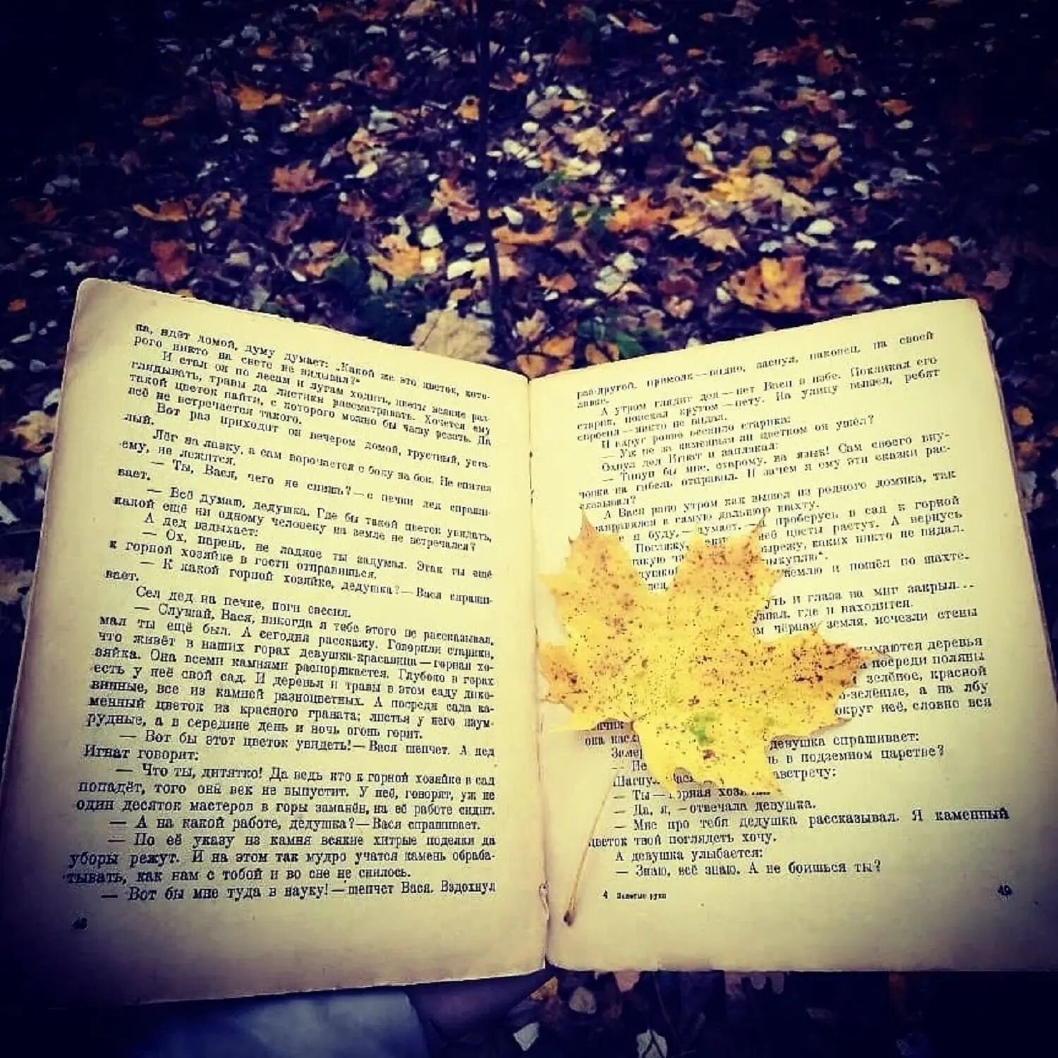 Photo #14092462