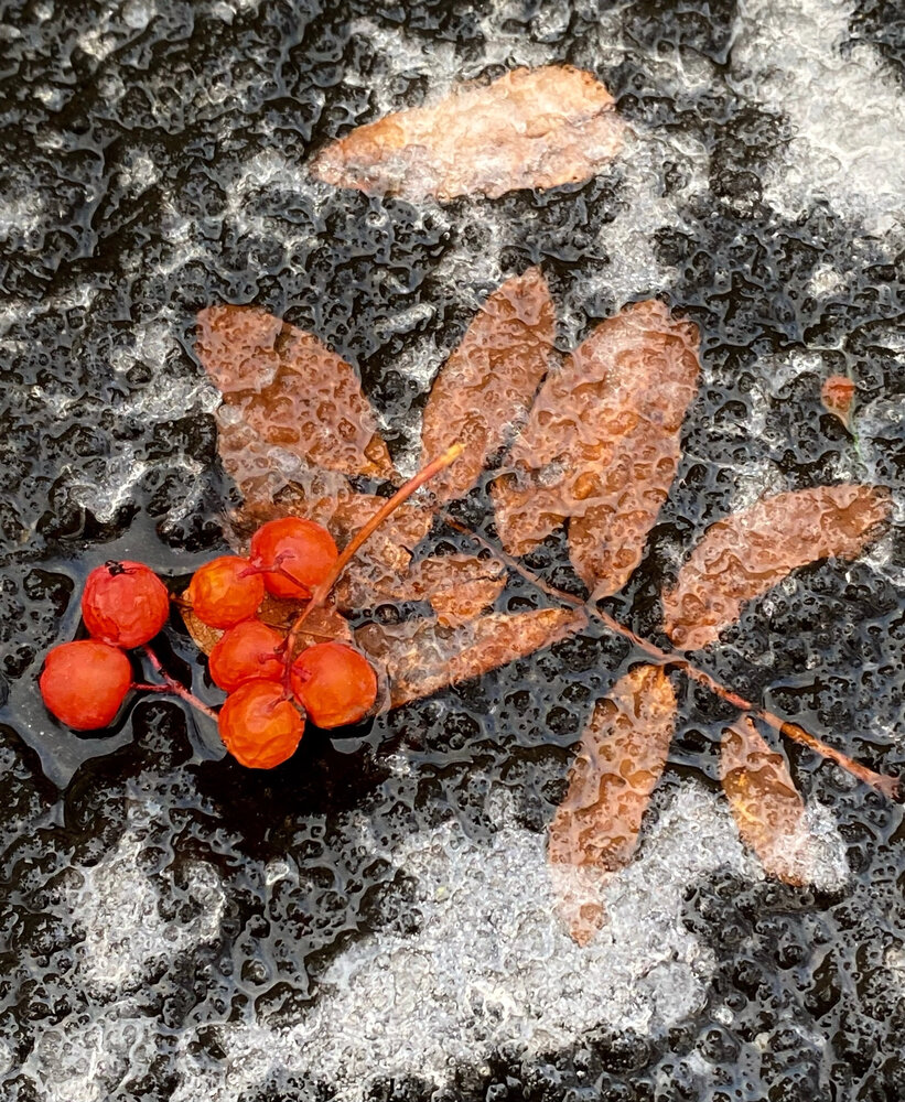Photograph by Наталья Тарабычина