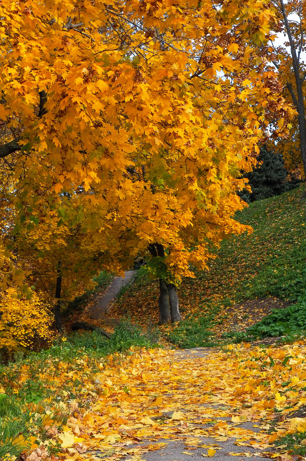 Photo #14092525