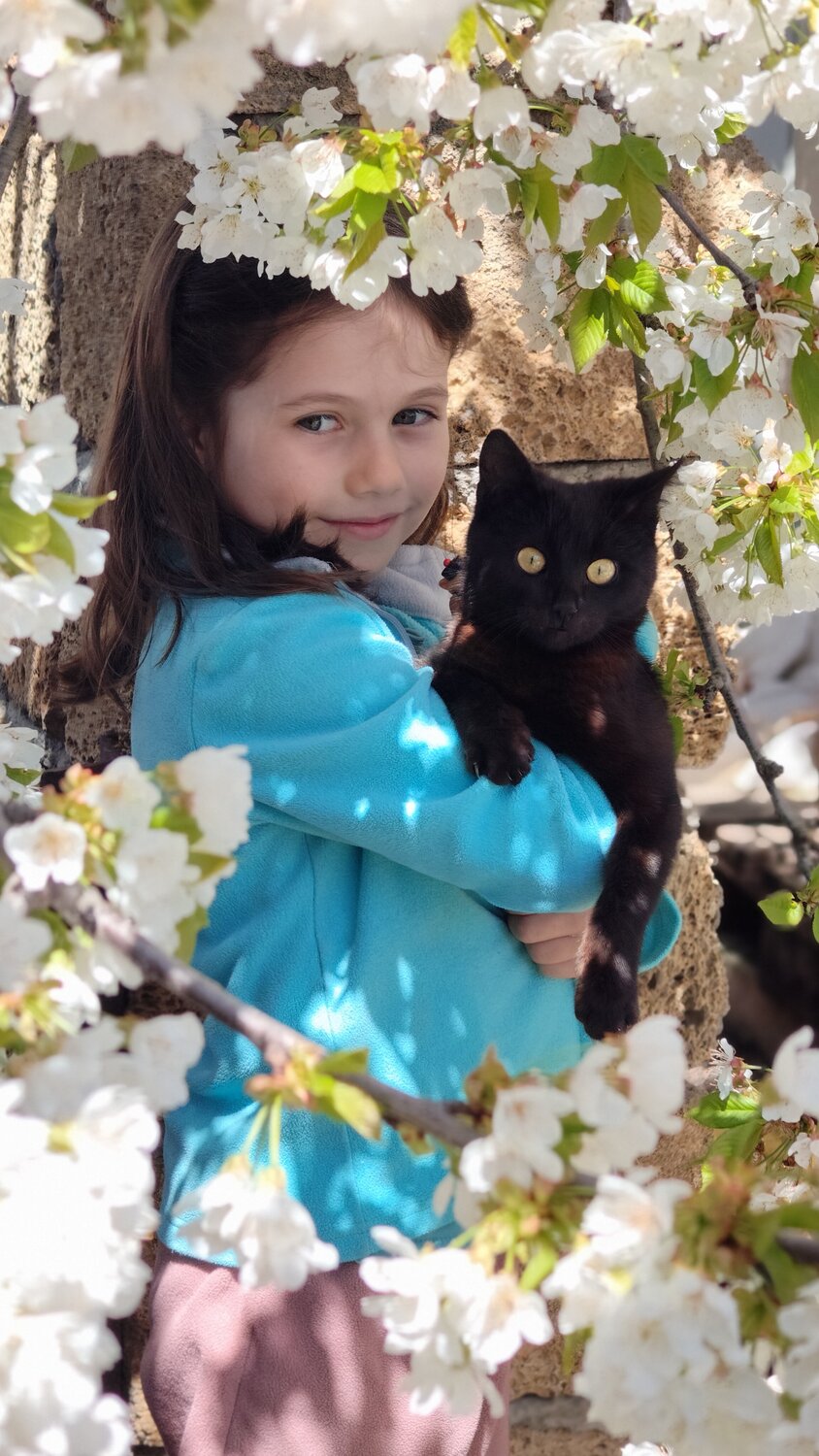 Photo #14092554