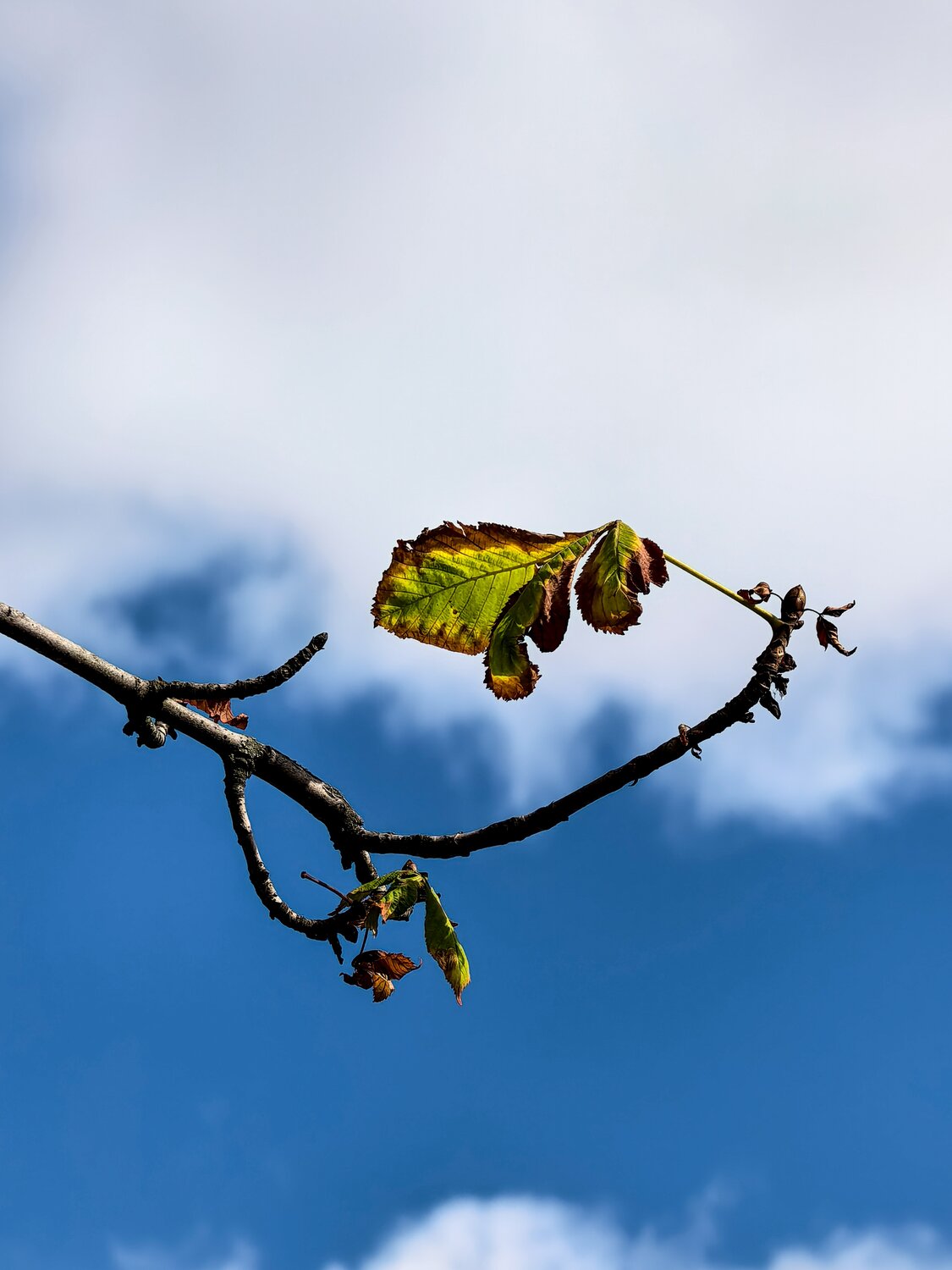 Photo #14092564