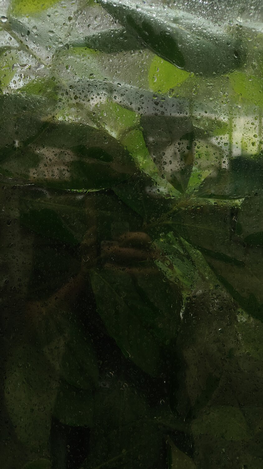 Photo #14092569